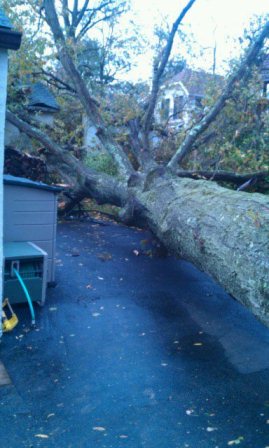 copy-of-10-30-12.jpg